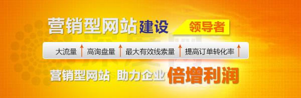 深度网营销型建设领导者